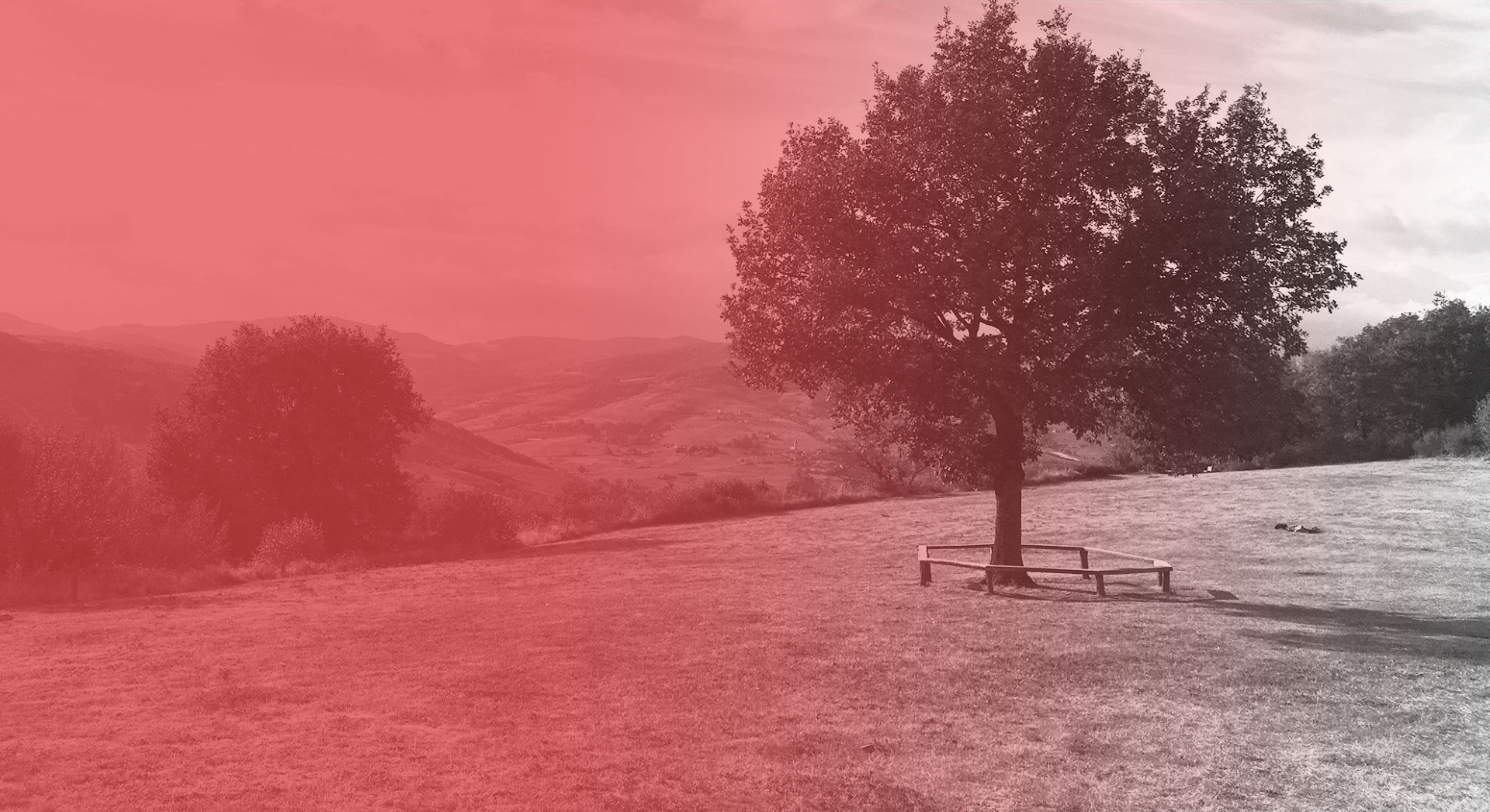 Retour sur les missions de Fair[e] Ici ! en 2025